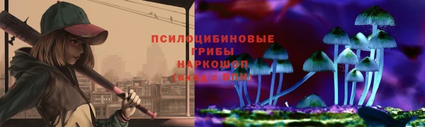 шишки Алексин