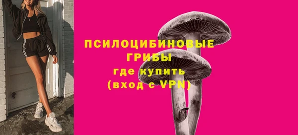 СК Алексеевка