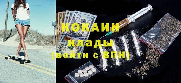 шишки Алексин