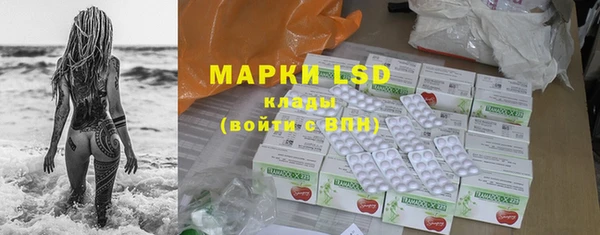 мяу мяу мука Алзамай